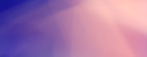 Top Ten B2B Website Design Trends of 2017